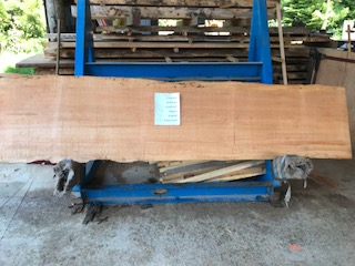 Hemlock Slab 6161